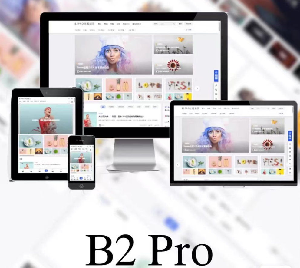 WordPress主题7B2 PRO主题5.4.2 免授权开心版源码